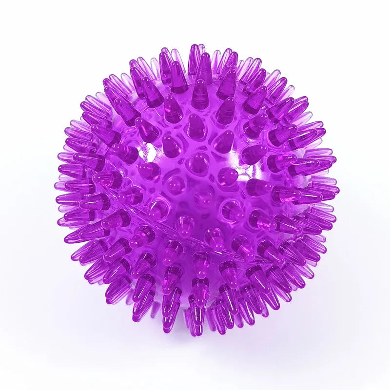 Balle de jeu sonore violet pour chiens