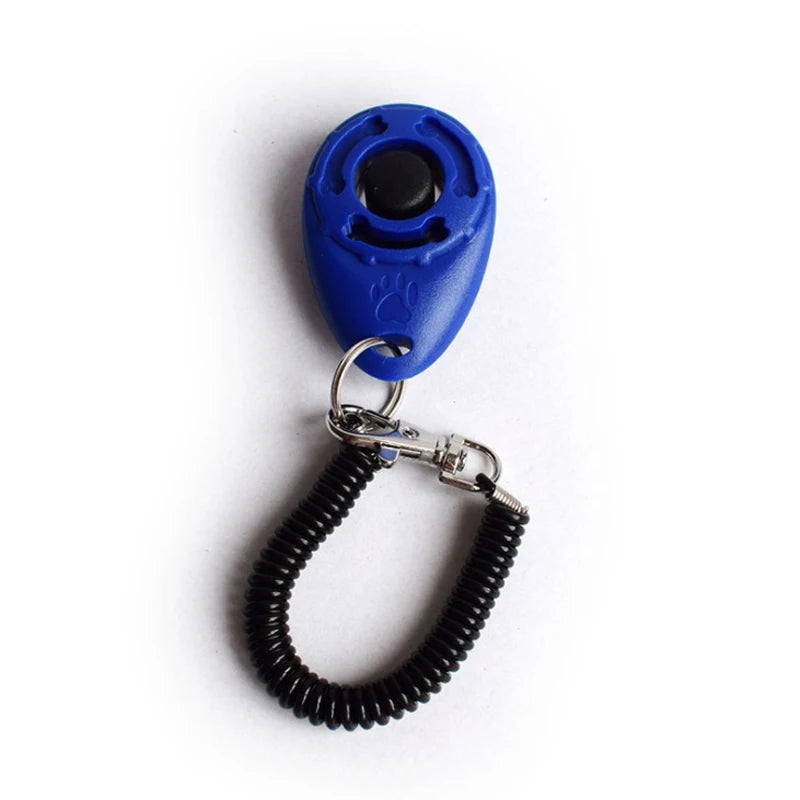Cliquet pour chien couleur bleu foncé