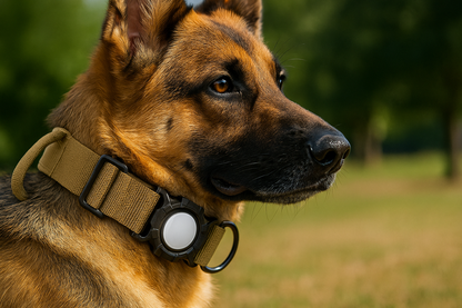 Collier pour chien avec étui Airtag intégré