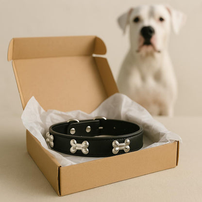 Adjustable and durable leather dog collar