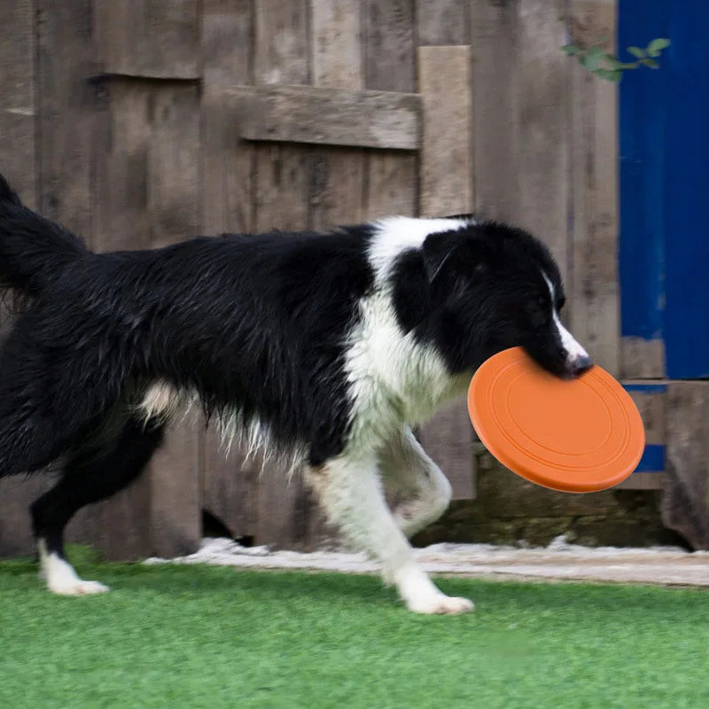 Frisbee en silicone résistant pour chien