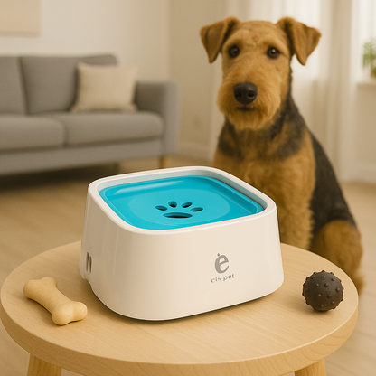 Gamelle d’eau pour chien anti débordement