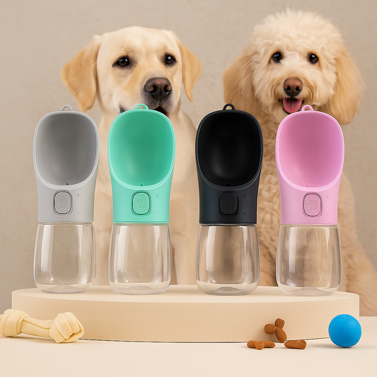 Gamelle d’eau portable pour chien