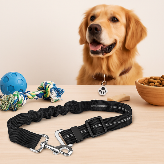 Ceinture de sécurité pour chien - Idéal pour les voyages en voiture