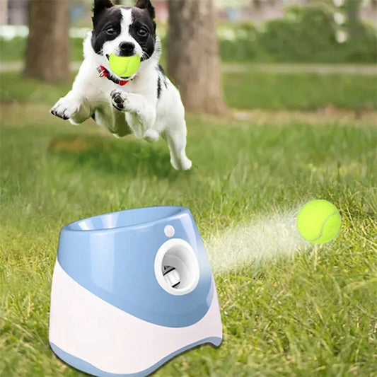Lanceur automatique de balle pour chien